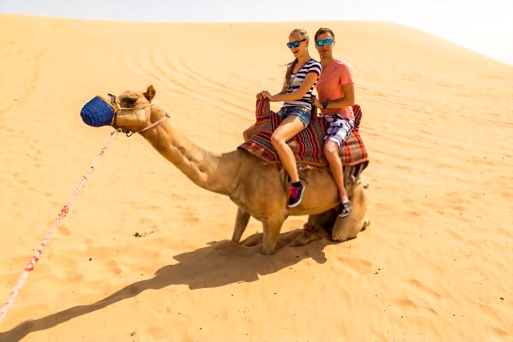 camel safari in dubai